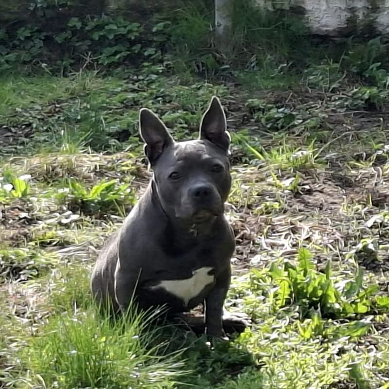 Update over Lucy β van vechten naar genieten ππΎ